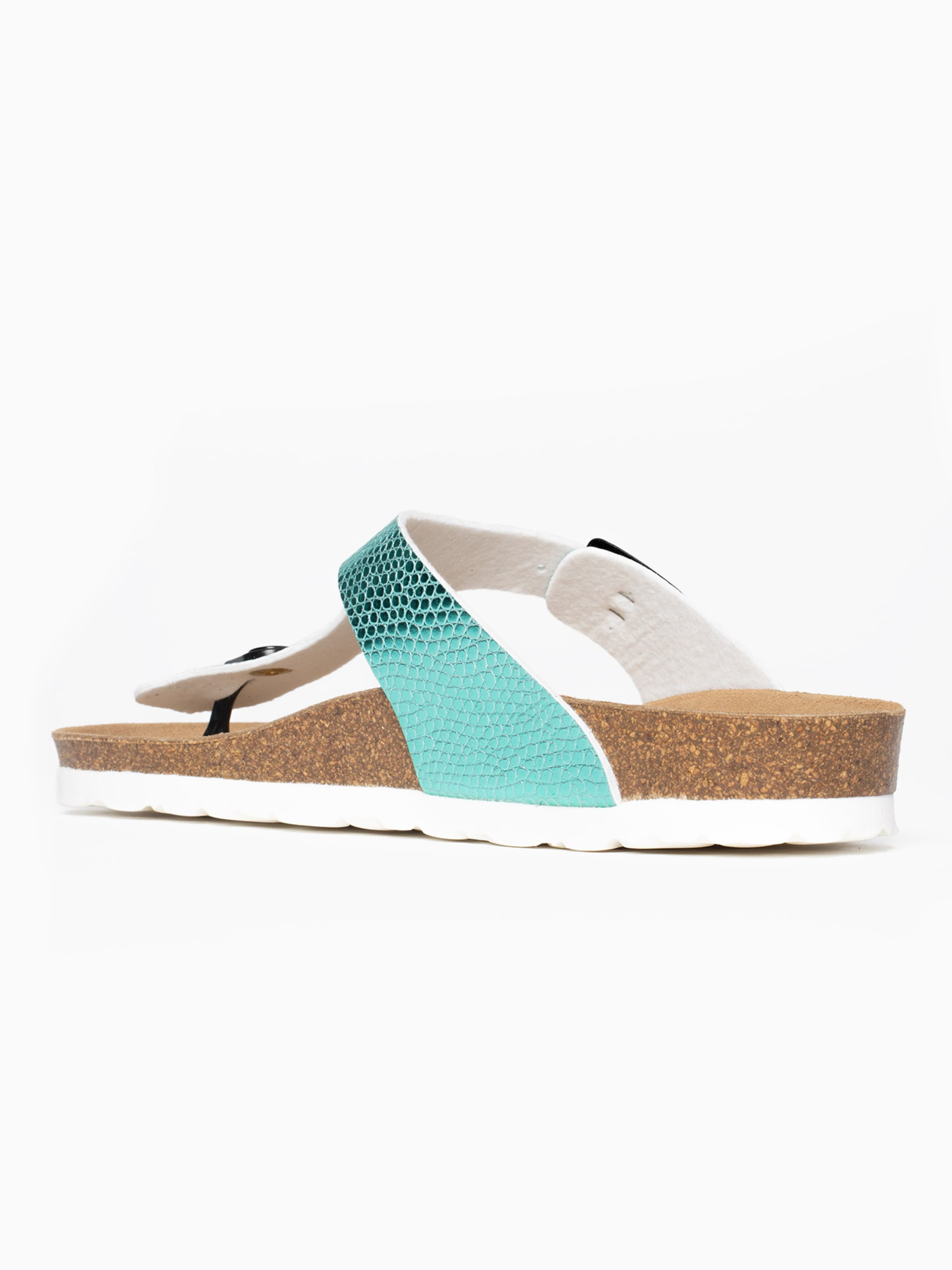 Bayton Σαγιονάρες διχαλωτές 'Mercure' σε πράσινο