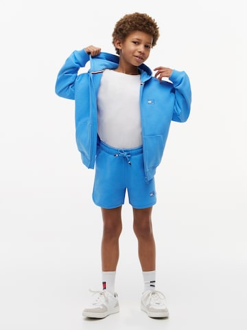 TOMMY HILFIGER Regular Trousers in Blue