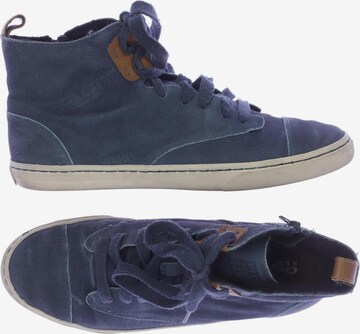 GEOX Sneaker 40 in Blau: predná strana