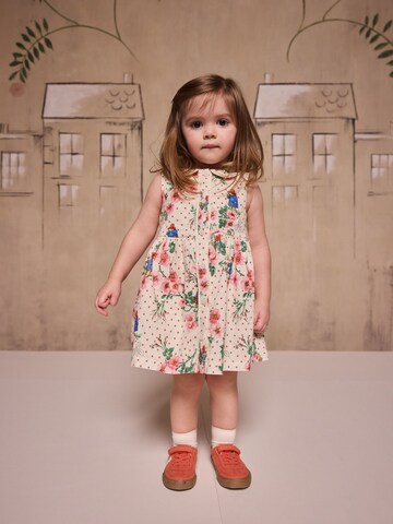 Robe 'Paddington' Next en beige : devant
