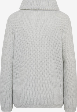 Pull-over Goldner en gris