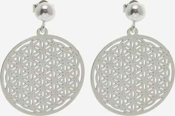 Gemshine Earrings in Silver: front