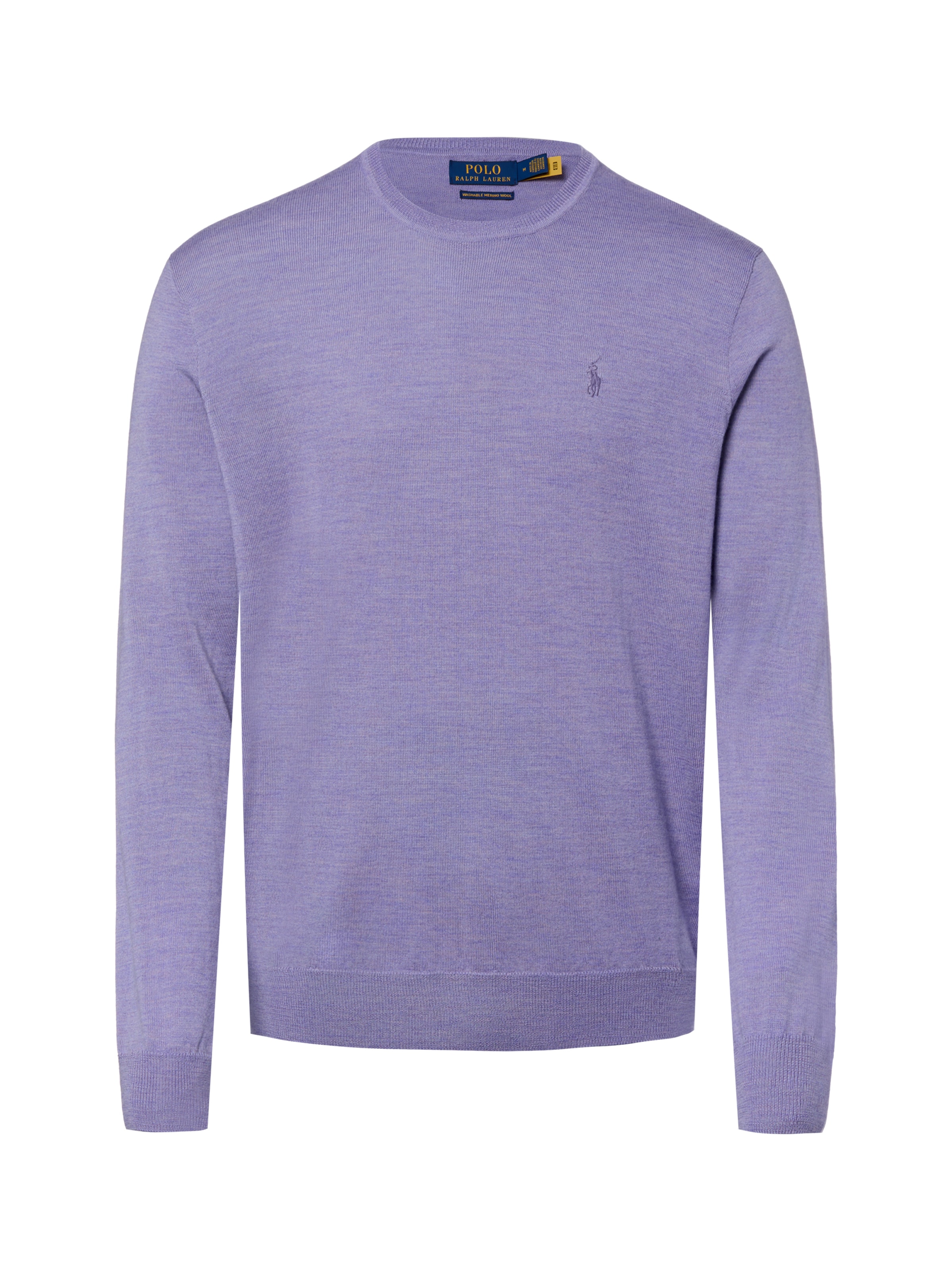 Polo Ralph Lauren Sweater in Purple: front