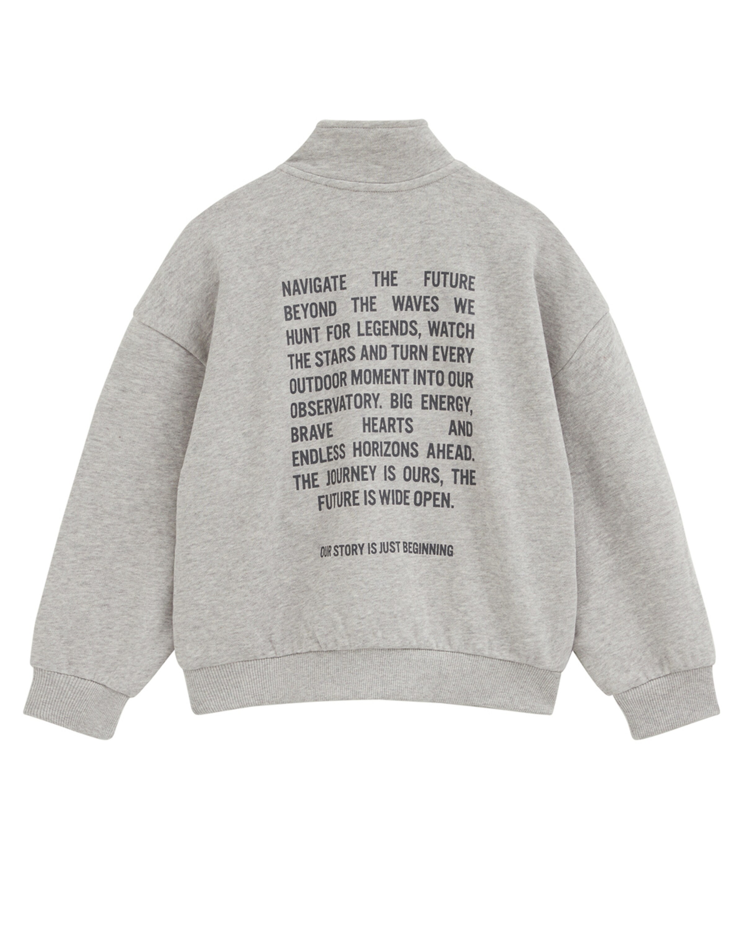 Felpa di WE Fashion in grigio