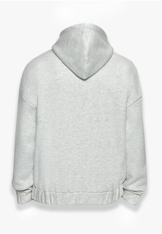 Giacca di felpa di Dropsize in grigio