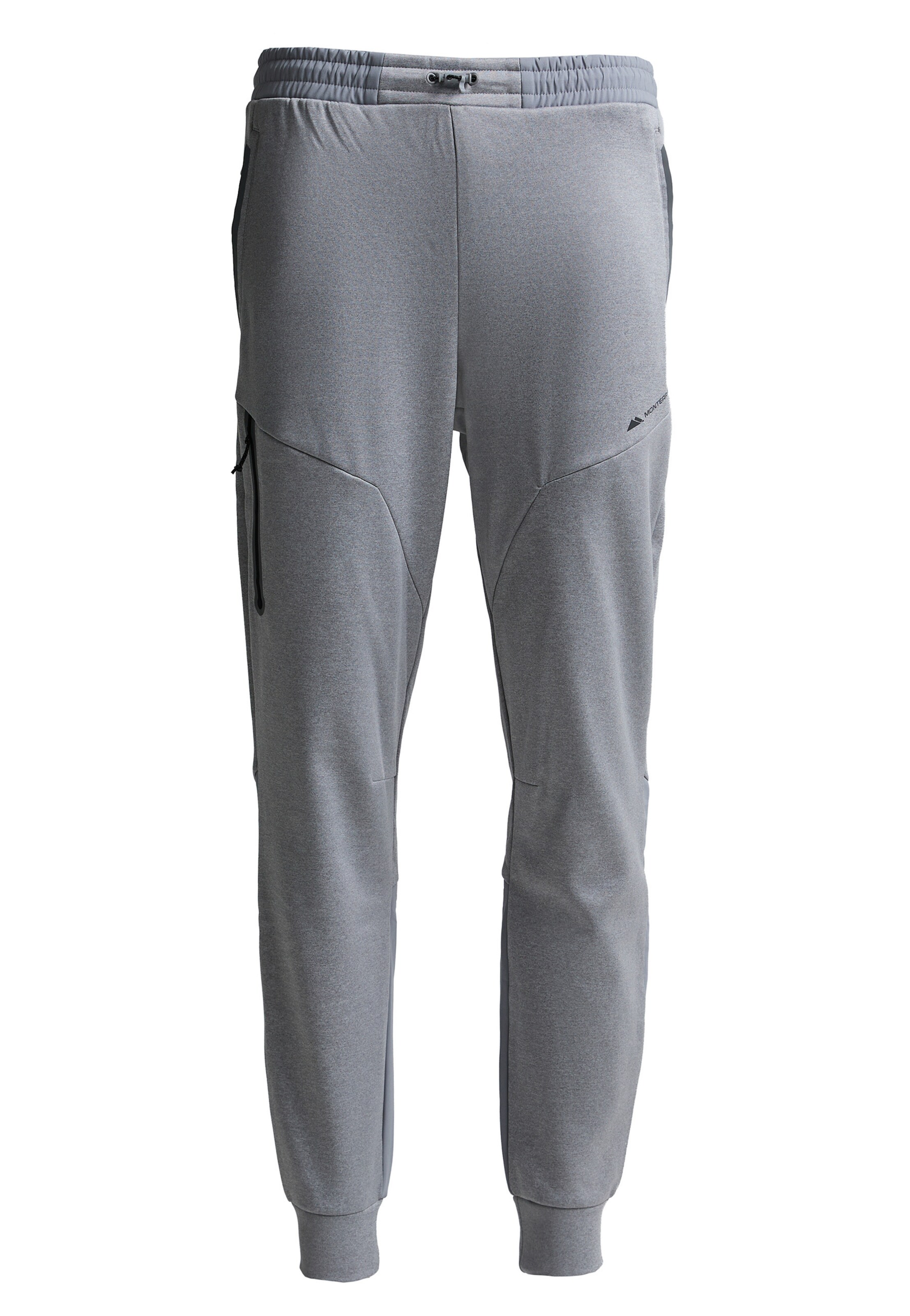 MONTERRAIN Tapered Pants 'Speed 2.0' in Grey: front