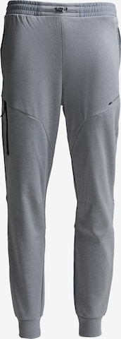 Effilé Pantalon 'Speed 2.0' MONTERRAIN en gris : devant