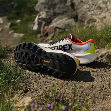 ADIDAS TERREX - Sapatilha de corrida 'Agravic 4' em branco