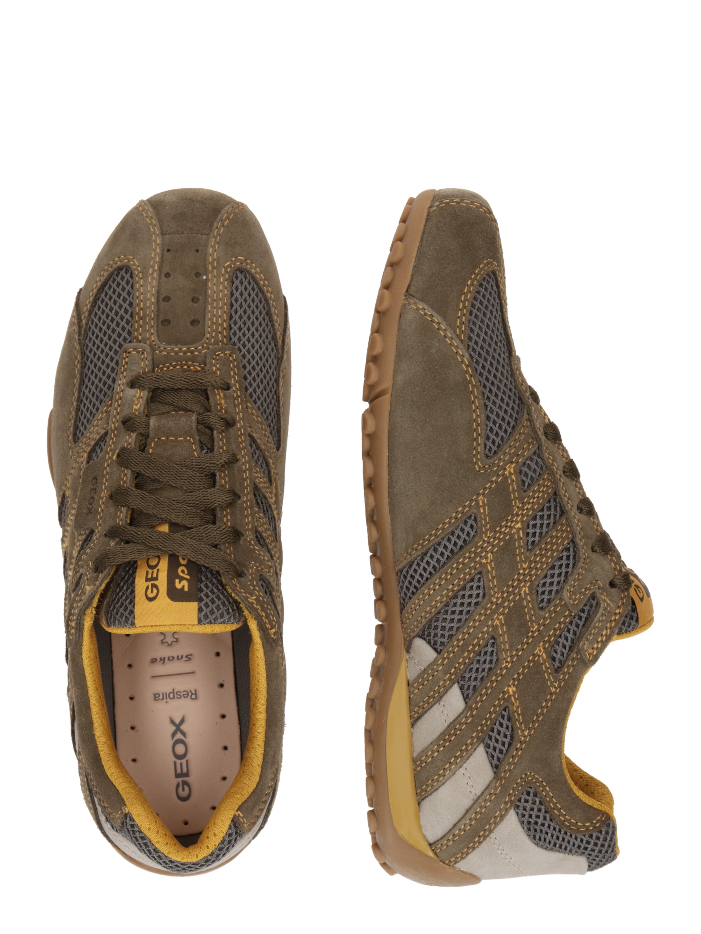 GEOX Madalad ketsid 'U Snake Original A', värv pruun