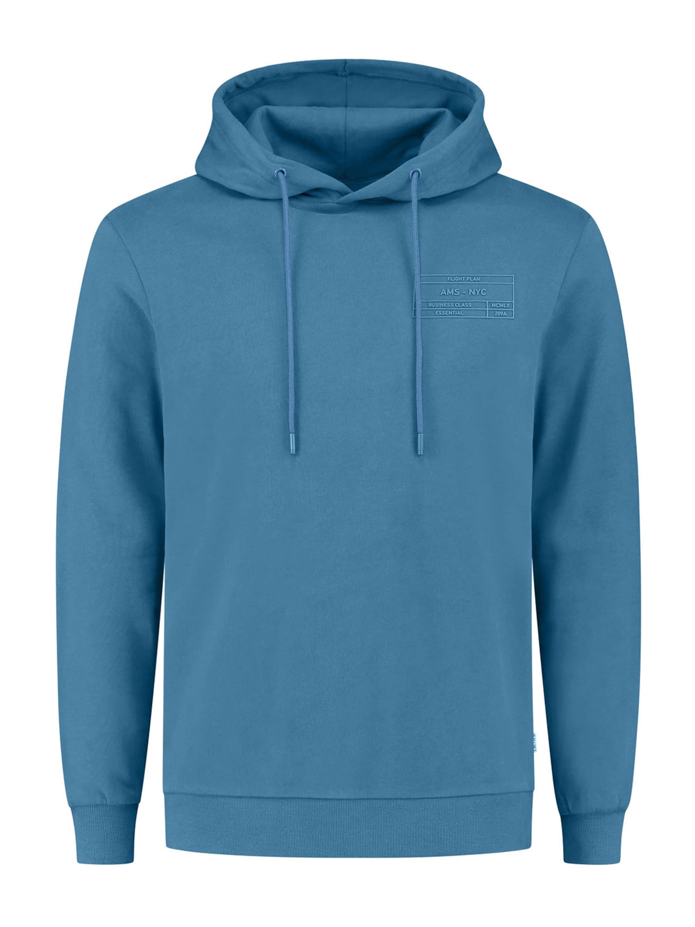 Felpa di Shiwi in blu: frontale