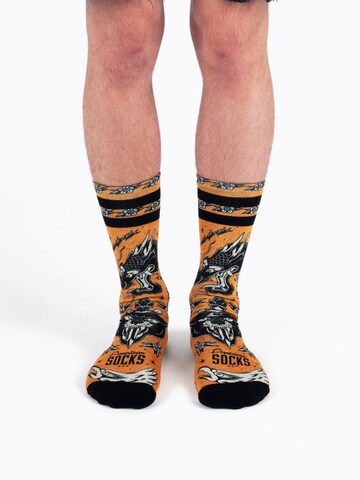American Socks - Calcetines 'Draco' en Mezcla de colores
