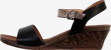 Sandales Enza Nucci en noir : devant