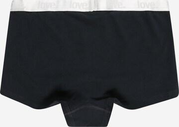 SCHIESSER Underpants in Mixed colours