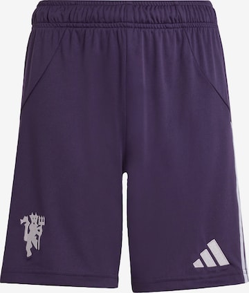 ADIDAS PERFORMANCE Regular Sports trousers 'Manchester United 25/26' in Purple: front