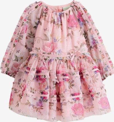 86 dydžio Suknelė iš Baker by Ted Baker, spalva – tamsiai žalia / purpurinė / rožinė / rožių spalva, Prekių apžvalga