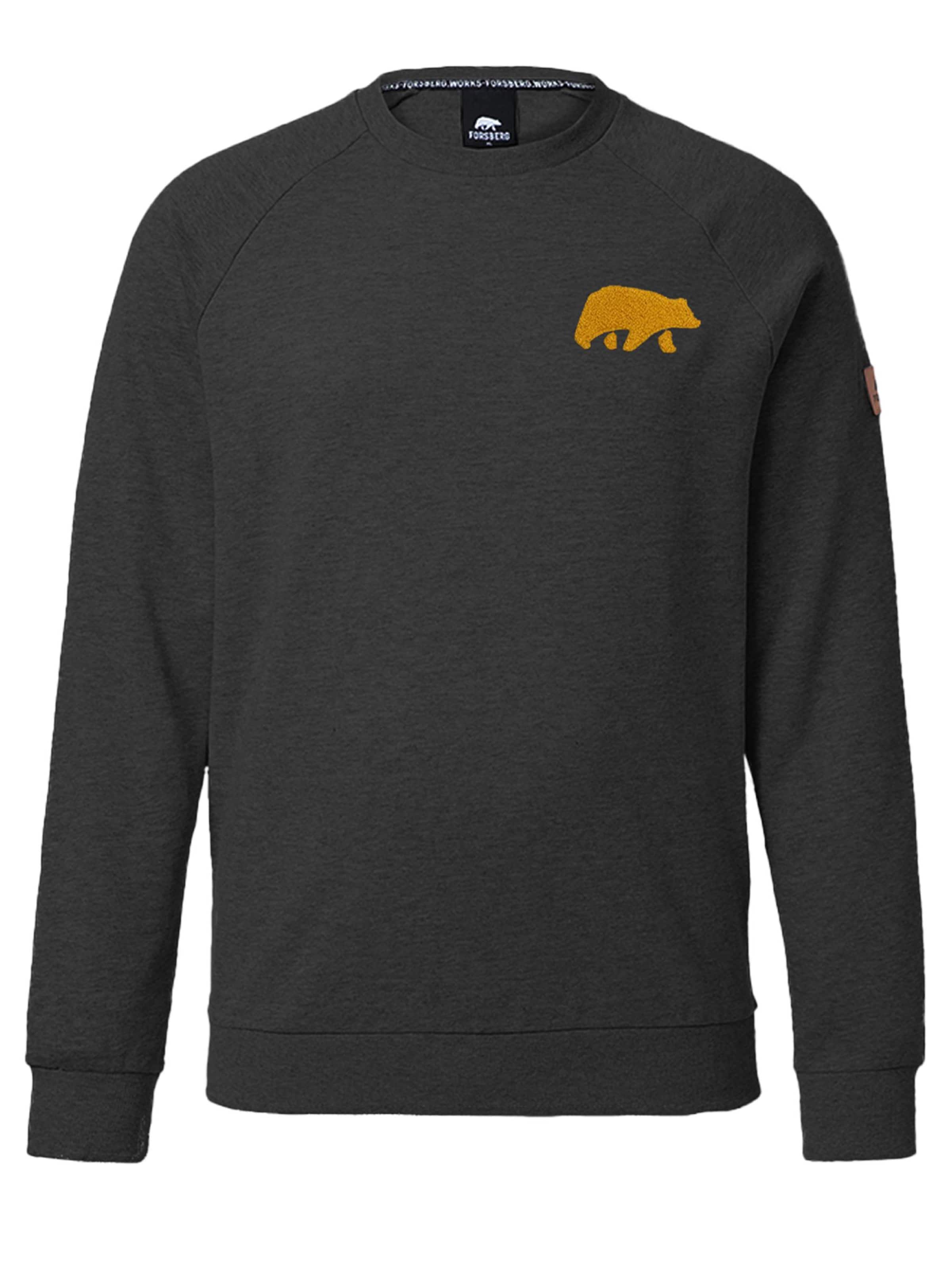 FORSBERG Sweatshirt 'mit Frottee Logo' in Grey: front