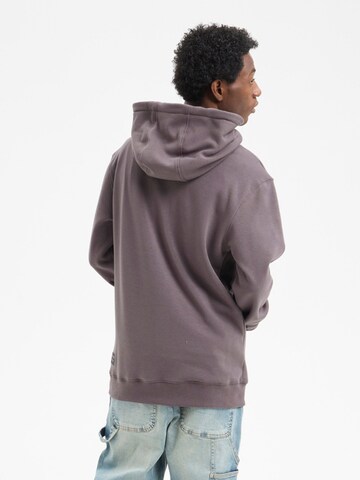 hydroponic - Sudadera 'Hydroponic Regular-Fit Brand Embroidered Hoodie' en gris