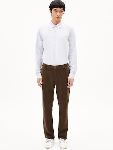 ARMEDANGELS Regular Chino in Bruin
