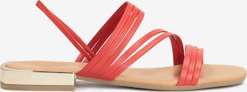 Kazar Sandalen met riem in Rood