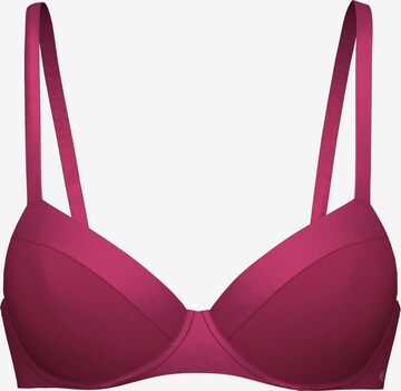 CALIDA T-Shirt BH 'Cate' in Lila: Vorderseite