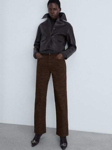 MANGO Regular Jeans in Brown
