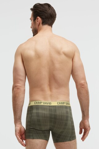 CAMP DAVID Boxer shorts in Green