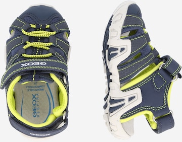 GEOX Open schoenen 'Kraze' in Blauw