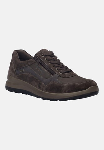 JOSEF SEIBEL Sneakers hoog in Bruin