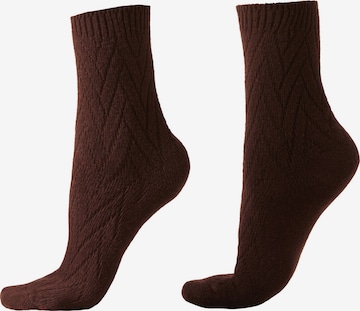 CALZEDONIA Socken in Braun: Vorderseite