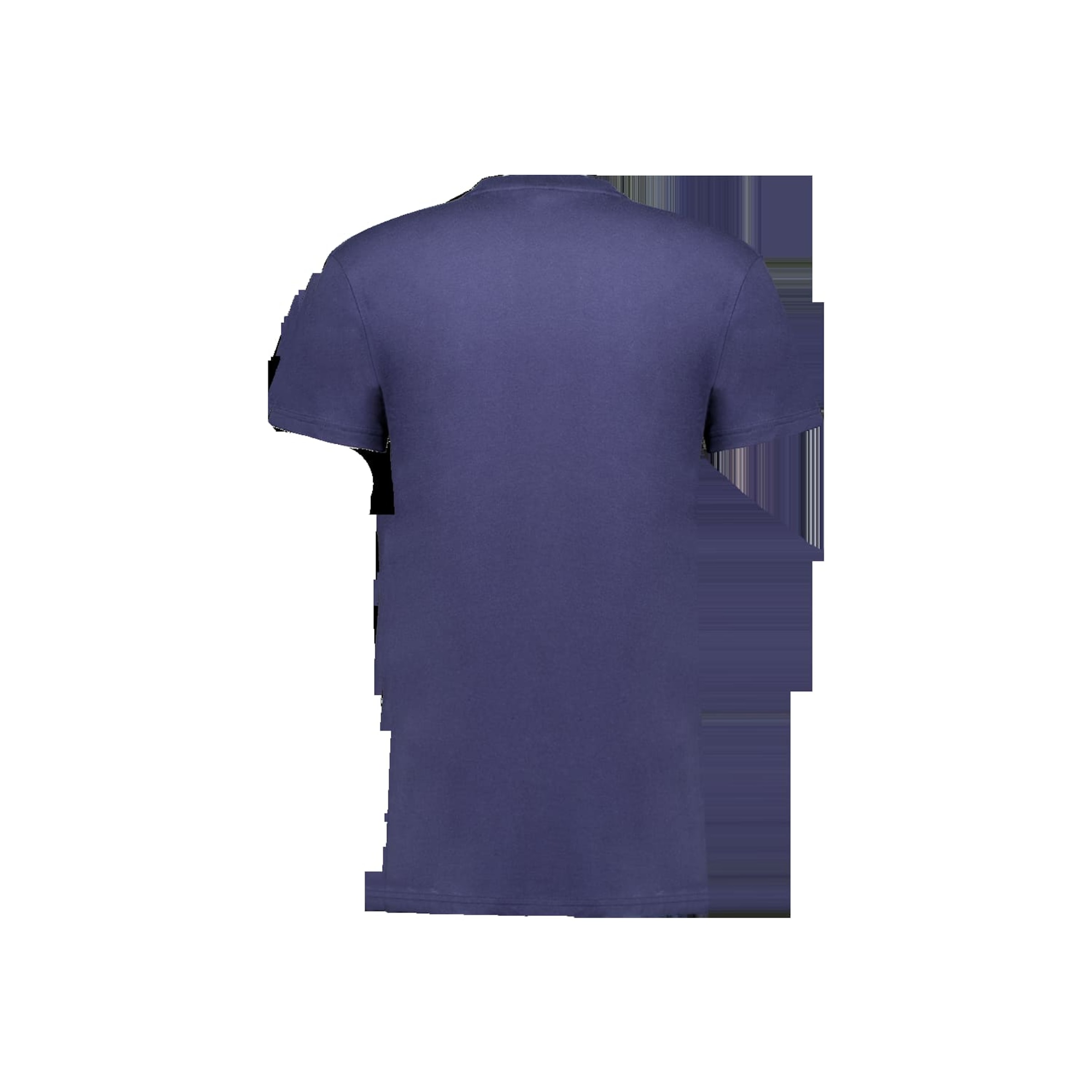 T-Shirt ' BASITO ' Deeluxe en bleu : devant