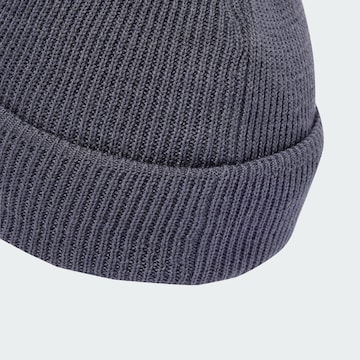 ADIDAS TERREX - Gorro deportivo 'Xploric' en gris