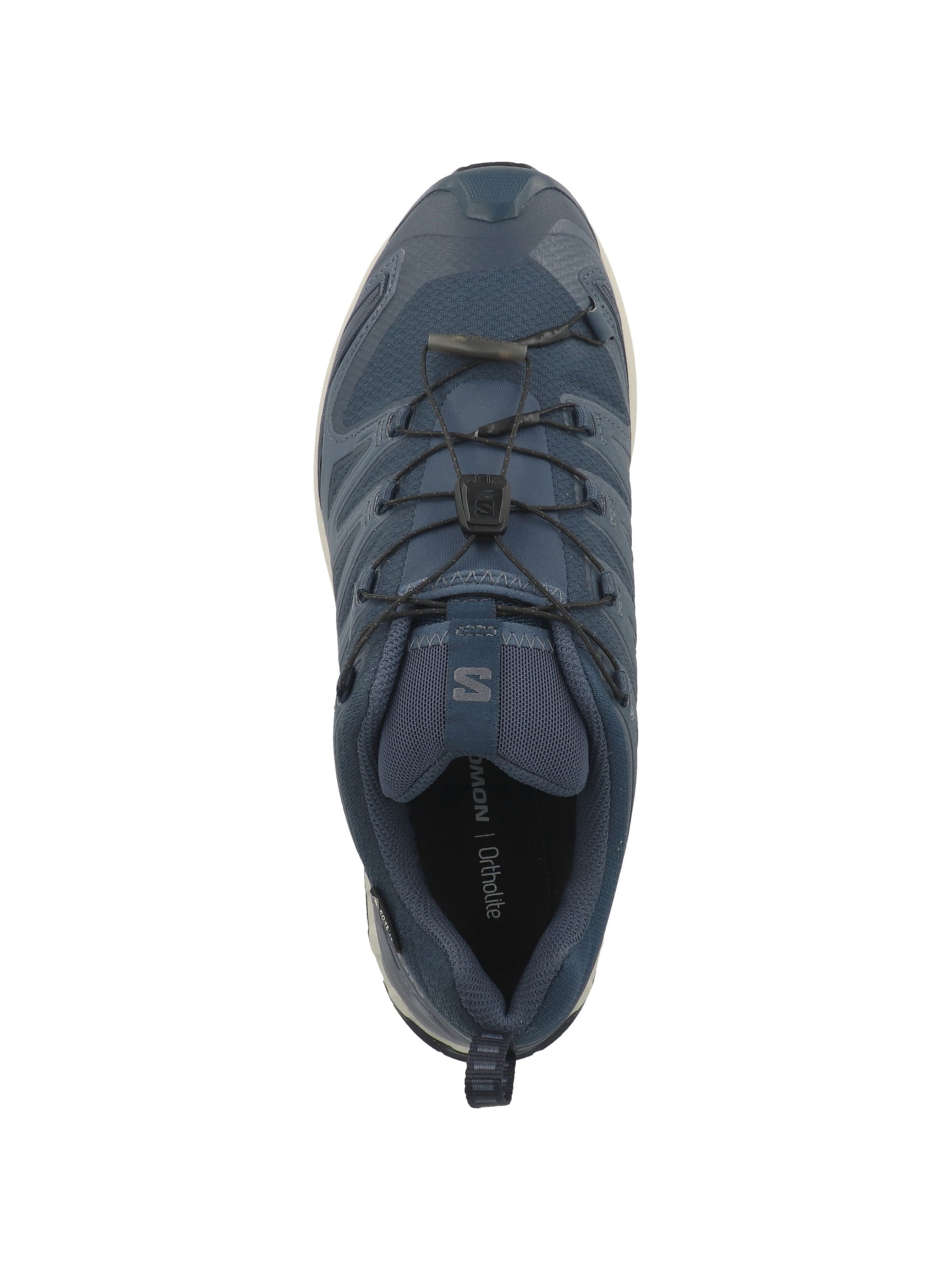 SALOMON Laufschuh 'XA Pro 3D V9' in Blau