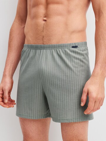 CALIDA Boxer shorts 'Prints' in Grey