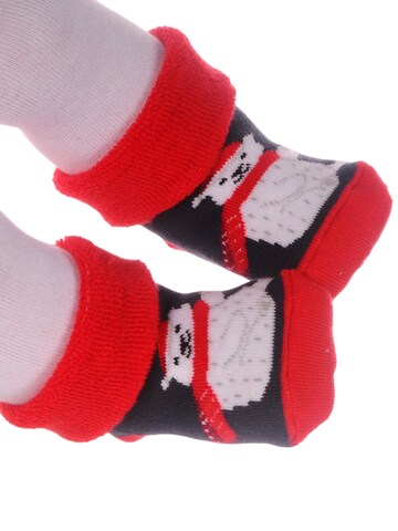 La Bortini Socken in 