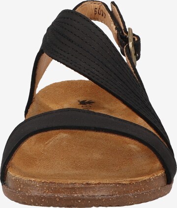 EL NATURALISTA Strap Sandals in Black