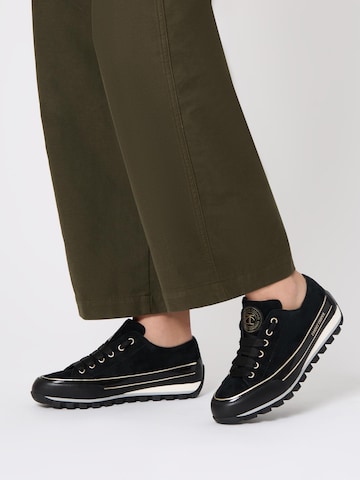 Candice Cooper Veterschoen 'JANIS' in Zwart