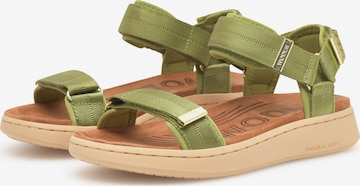 Sandales 'Line' WODEN en vert : devant
