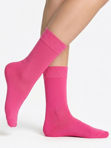 footstar Socken 'EVERYDAY!'‌‌‌‌‌‌ in Pink: Vorderseite