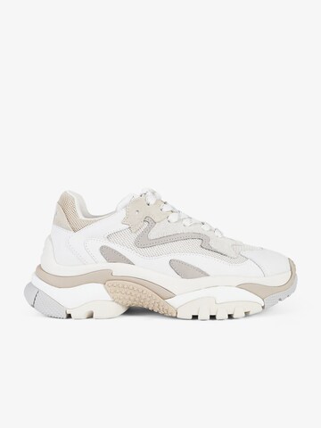ASH Sneakers laag 'Addict' in Beige