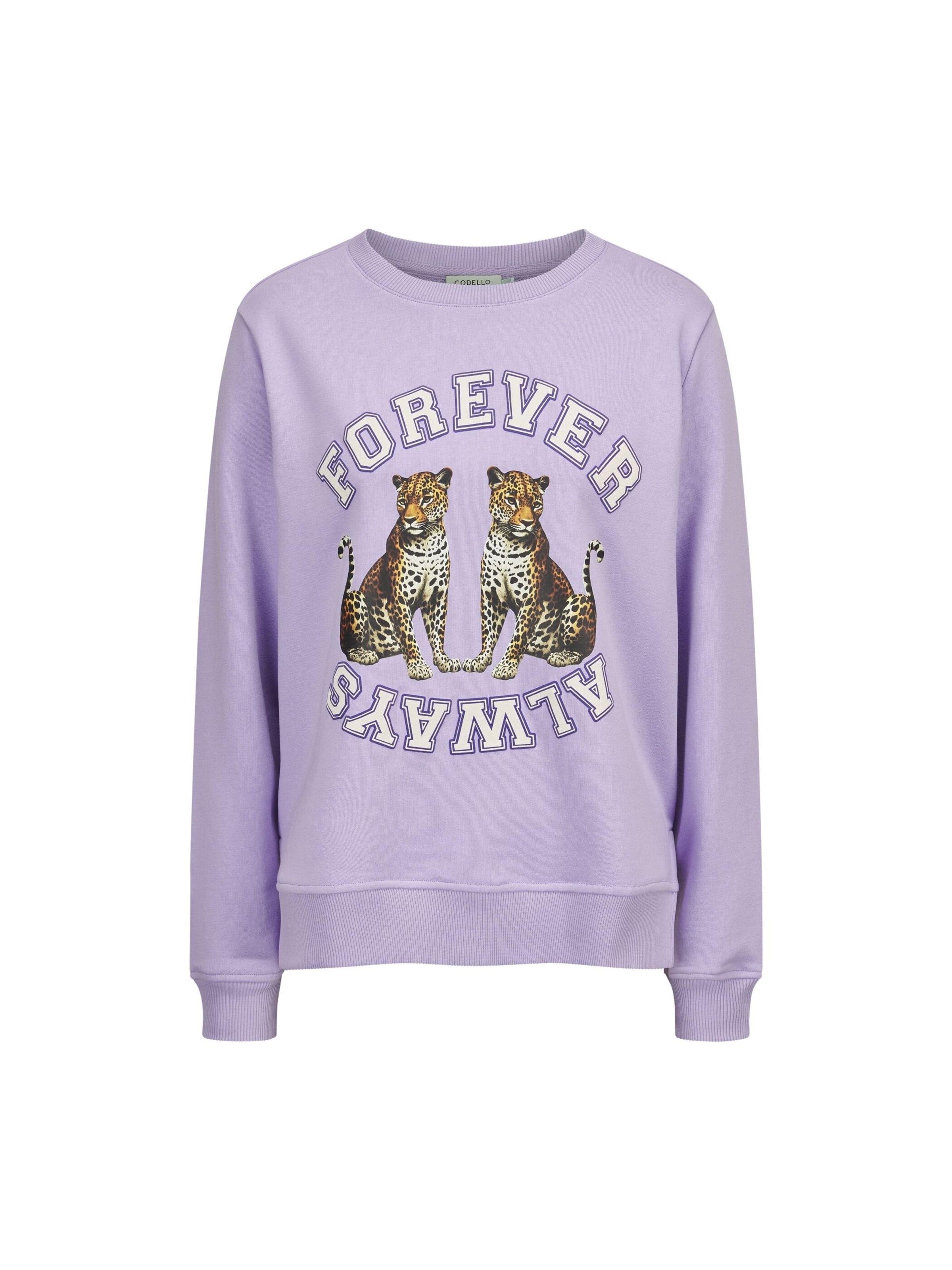Sweat-shirt CODELLO en violet : devant