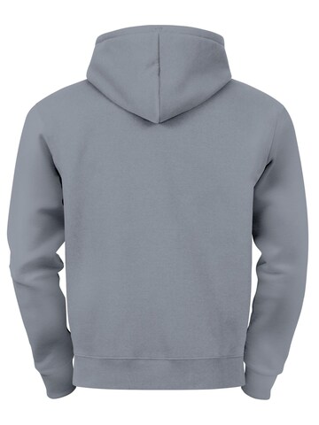 Neverless Sweatshirt 'Polygon Tiger'‌‌‌‌‌‌‌‌‌‌ in Grau