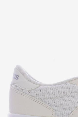 ADIDAS NEO Sneaker 39 in Wei ABOUT YOU