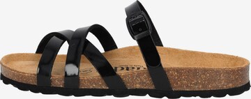 Palado Pantolette 'Cruisi' in Schwarz: Vorderseite
