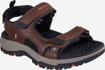 SKECHERS - Sandalias 'Rigdon' en marrón: frente