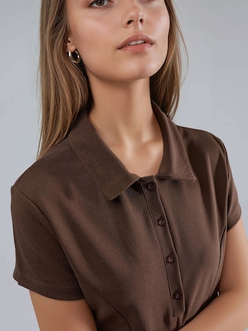 Busem Blousejurk in Bruin