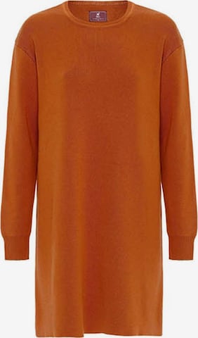 Abito in maglia di Williot in marrone: frontale