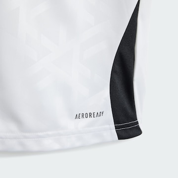 ADIDAS PERFORMANCE Tracksuit 'DFB 24' in White