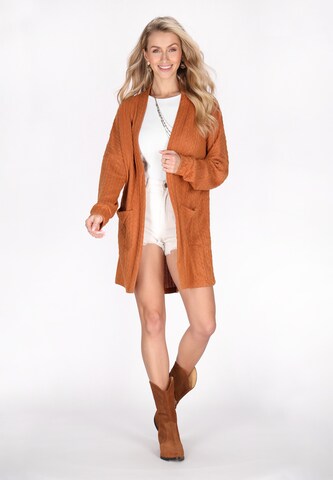 Cardigan IZIA en marron