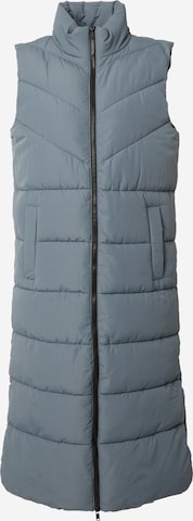 Noisy may Vest 'DALCON' in Blue: front