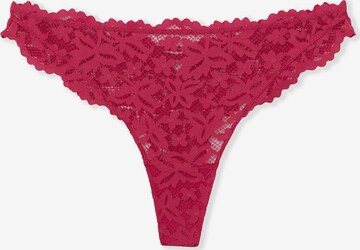 String 'Legende' di ETAM in rosa: frontale